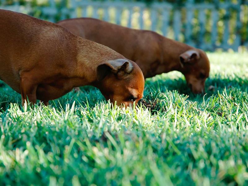 sudoku starter kit screenshot 4